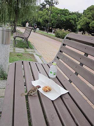 00623-7.JPG