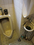 00911-8.JPG