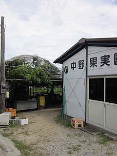 00917-1.JPG