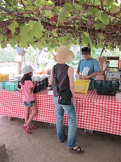 00917-9.JPG