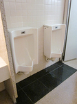 10330-7.JPG