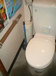 60117-7.JPG