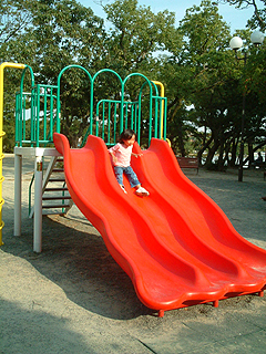 61021-2.JPG