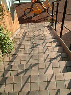 80123-1.JPG