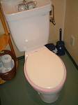 80411-6.JPG