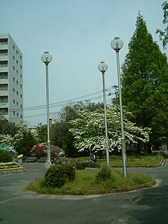80513-5.JPG