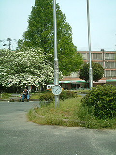 80513-6.JPG