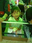 80517-15.JPG