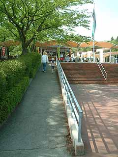 80517-3.JPG