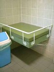 80517-8.JPG
