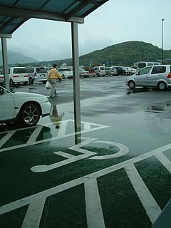 80801-1.JPG