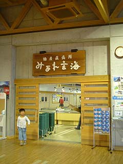 80801-6.JPG