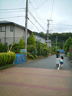 80806-2.JPG