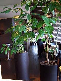 90927-8.JPG