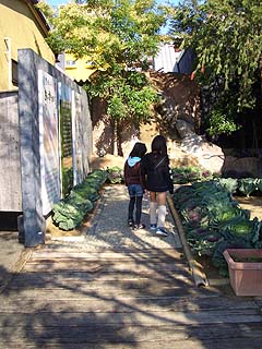 91223-3.JPG