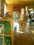 925-55.jpg
